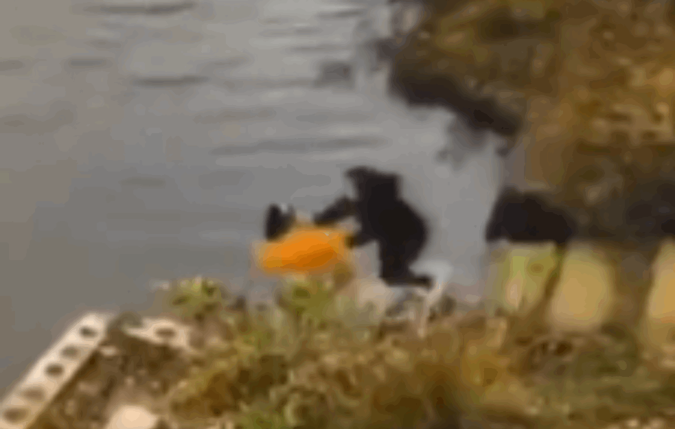 TRAGEDIJA U KINI: <span style='color:red;'><b>Depresivna žena</b></span> GURNULA prijateljicu u jezero, OBE SE UDAVILE (UZNEMIRUJUĆI VIDEO)